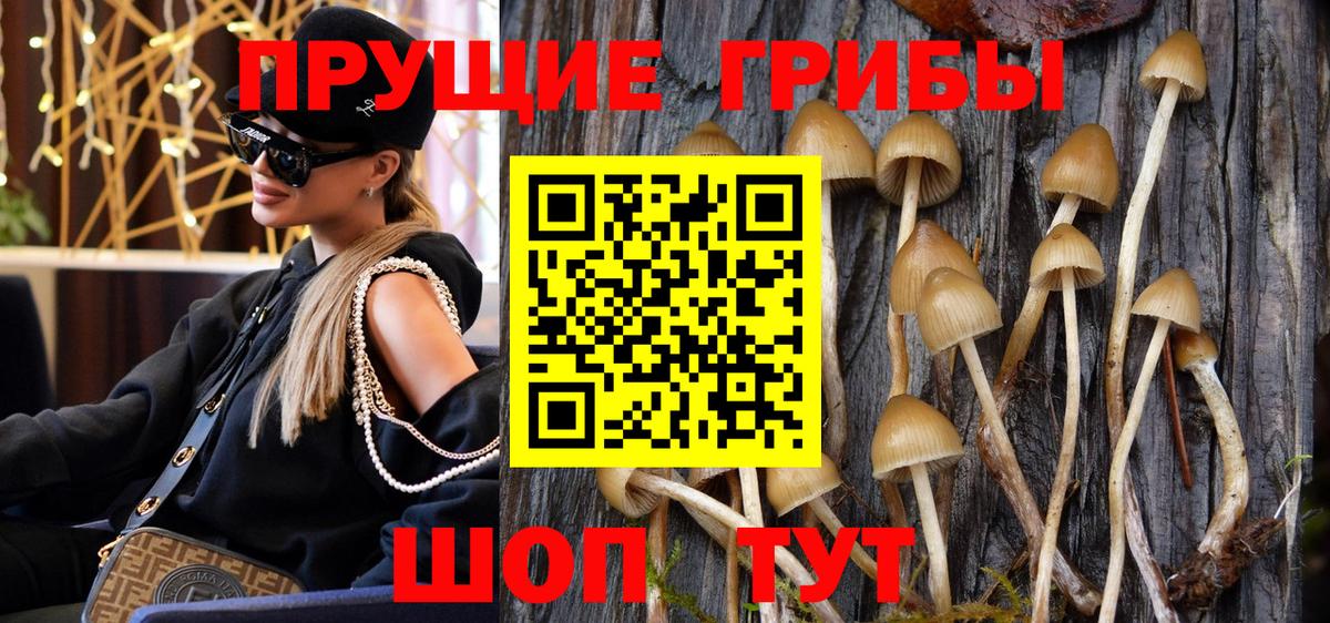Галлюциногенные грибы Psilocybine cubensis  Вход с VPN  Королёв 